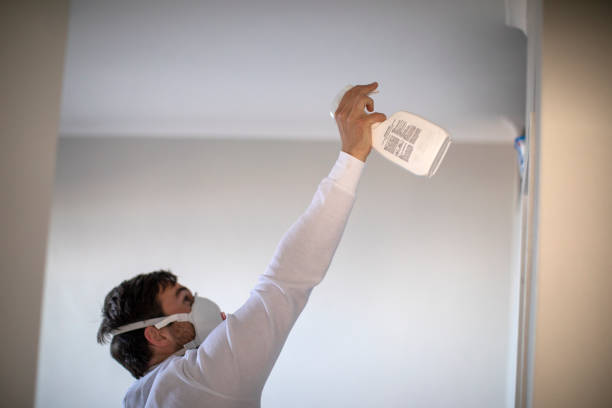 Best Mold Removal Company Near Me  in Iron River, MI