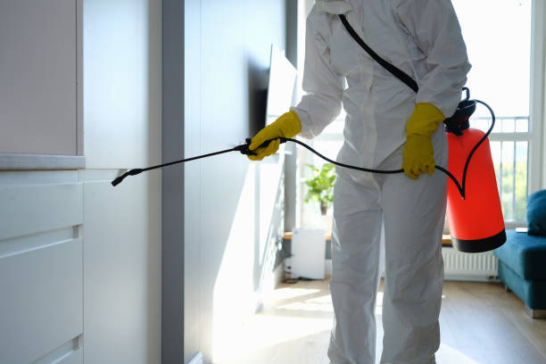 Best Residential Mold Removal  in Iron River, MI